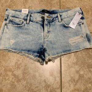 Aqua Light Blue Frayed Jean Shorts